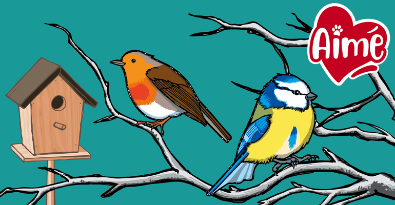 2021 01 mesange et rouge gorge