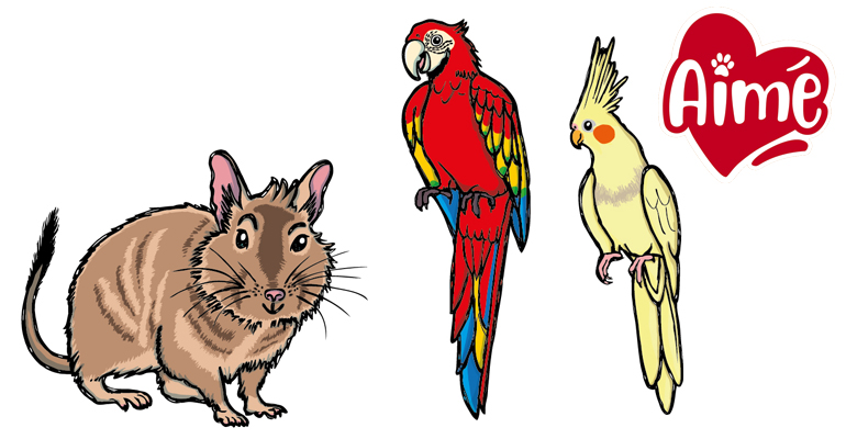 Mascottes 2021 01 Octodon perroquet