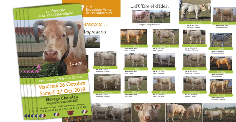 giroux depliant porte ouverte 2018