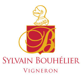 sylvain bouhelier logo 1