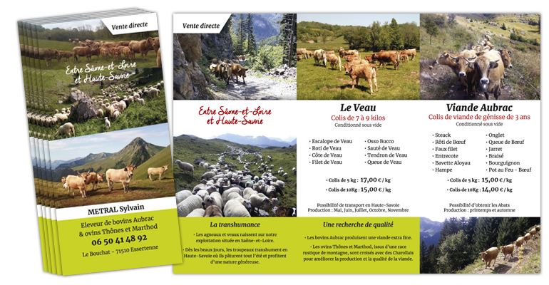 sylvain metral plaquette